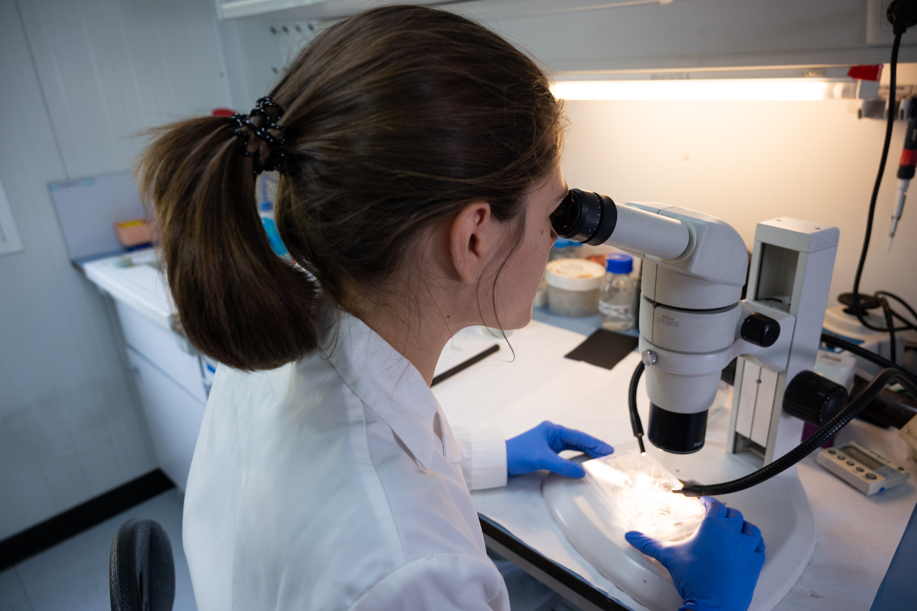 Laboratorio del Instituto Cajal del CSIC. / César Hernández (CSIC)