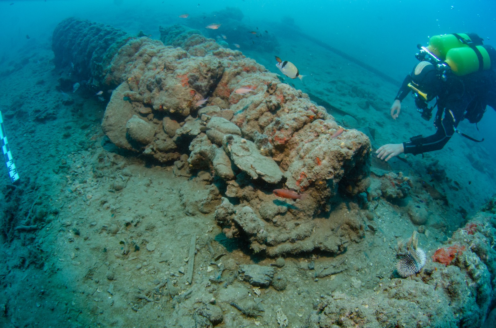 Los yacimientos Ribadeo I (Galicia) y Mortella III (Córcega) abren nuevas líneas de investigación sobre la Arquitectura naval del siglo XVI