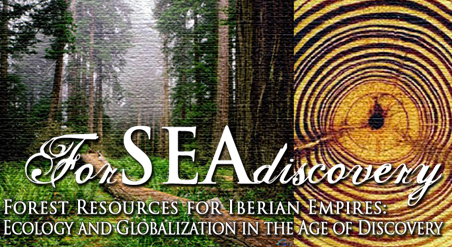 Convocatoria de un contrato de trabajo para el proyecto ForSeaDiscovery Logo de ForSEAdiscovery