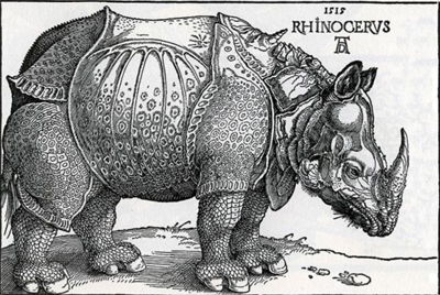 El Times Higher Education Supplement destaca 'The Rhinoceros and the Megatherium' de Juan Pimentel como libro de la semana Imagen del rinoceronte