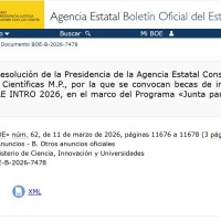 Abierta hasta el 11 de abril la convocatoria JAE INTRO 2026 del CSIC on 240 becas, 91 de ellas en institutos del CCHS