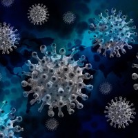 La investigación sobre la pandemia covid-19 desde el CSIC y las ciencias sociales y humanas La investigación sobre la pandemia covid-19 desde el CSIC y las ciencias sociales y humanas