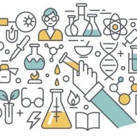 Votos para los doctorandos participantes en el concurso de vídeos 'Yo investigo. Yo soy CSIC' Votos para los doctorandos participantes en el concurso de vídeos 'Yo investigo. Yo soy CSIC'