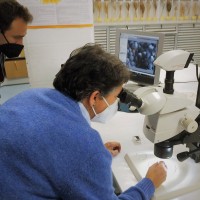 El laboratorio de arqueobiología recibirá alumnos de 3º de la ESO durante una semana, en el programa 'Científic@s en prácticas'