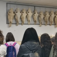 Alumnos de 3º de la ESO visitan el CCHS dentro del proyecto 'Cientíci@s en prácticas'