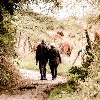 Una vida social activa reduce el riesgo de muerte en las personas mayores con discapacidad crónica Una vida social activa reduce el riesgo de muerte en las personas mayores con discapacidad crónica