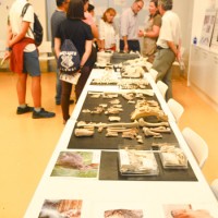 Un viaje de dos mil años por la producción, el consumo y el disfrute de la alimentación, en el Museo Arqueológico Nacional