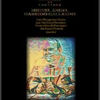 Publicado el libro "Vir bonus dicendi peritus : homenaje al profesor Miguel Ángel Garrido Gallardo" Portada del libro
