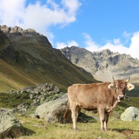 Un estudio arqueológico muestra cómo los seres humanos han transformado la Tierra en los últimos diez mil años Un estudio arqueológico muestra cómo los seres humanos han transformado la Tierra en los últimos diez mil años