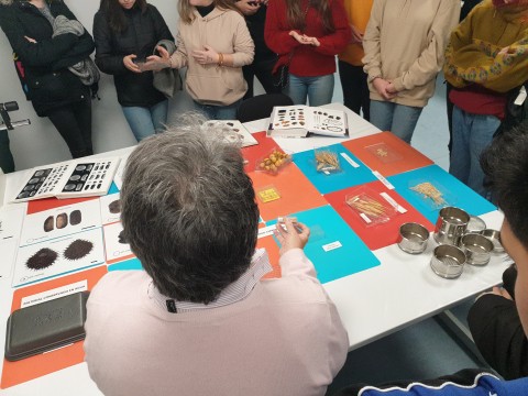 Visita al Laboratorio de arqueobiología y arqueobotánica, del Instituto de Historia Visita al Laboratorio de arqueobiología y arqueobotánica, del Instituto de Historia